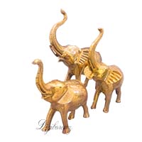 مجسمه برنجی برنزی مدل فیل پاکستانی طلایی سایز کوچک